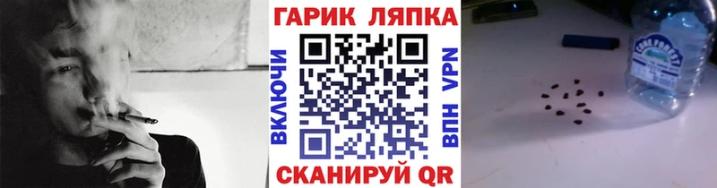 Купить где  Пучеж  Гашиш VHQ 