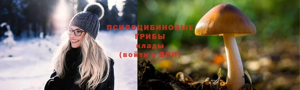 не бодяженный Заводоуковск