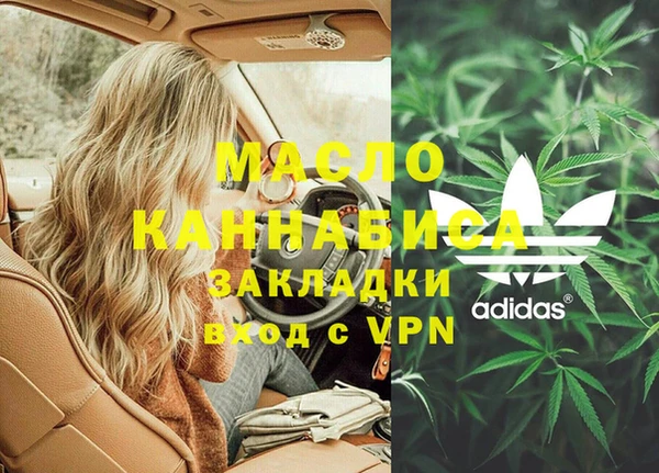 молекула духа Елабуга