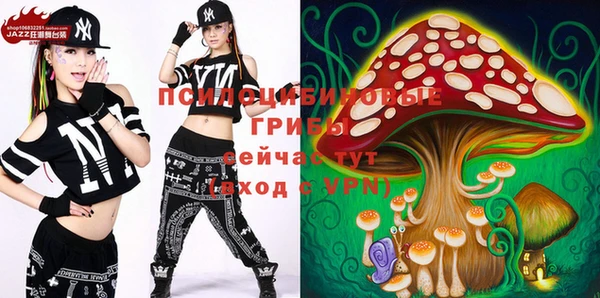 Альфа ПВП Ельня