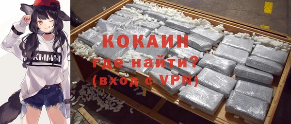 не бодяженный Заводоуковск