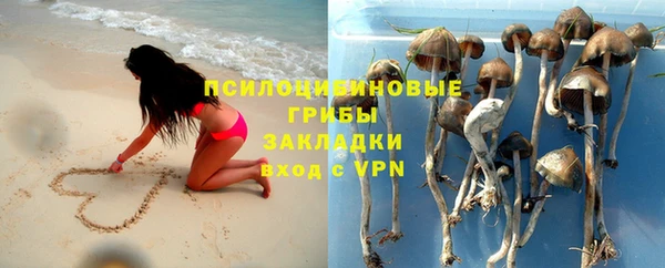 МДПВ Заволжск