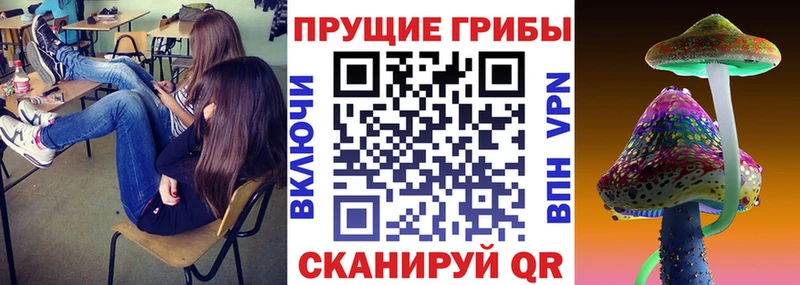 Псилоцибиновые грибы MAGIC MUSHROOMS  Купить закладки  Пучеж 